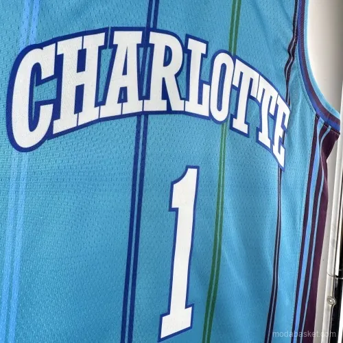 CHARLOTTE HORNETS LINES - BALL 1 - Imagen 3