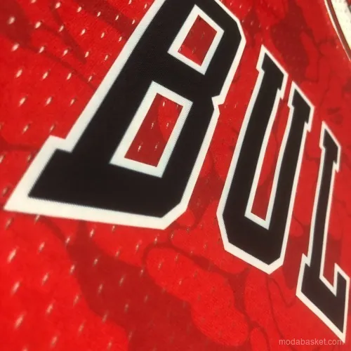 CHICAGO BULLS X BAPE - Imagen 3