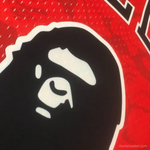 CHICAGO BULLS X BAPE - Imagen 19