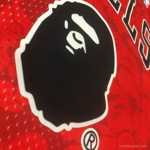 CHICAGO BULLS X BAPE - Imagen 18