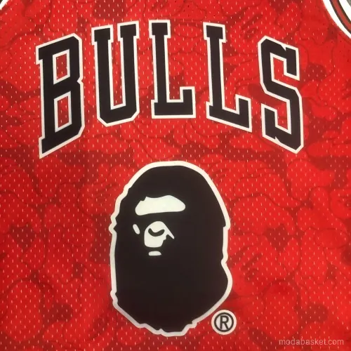 CHICAGO BULLS X BAPE - Imagen 17
