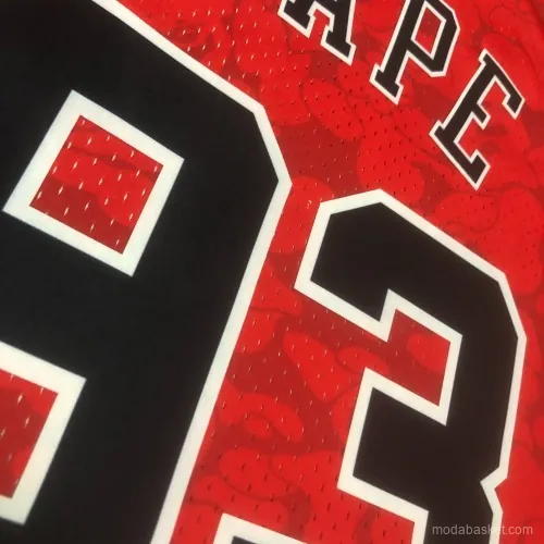 CHICAGO BULLS X BAPE - Imagen 14