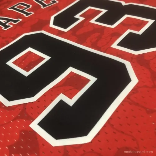 CHICAGO BULLS X BAPE - Imagen 13