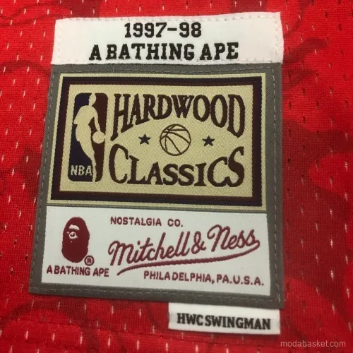 CHICAGO BULLS X BAPE - Imagen 9