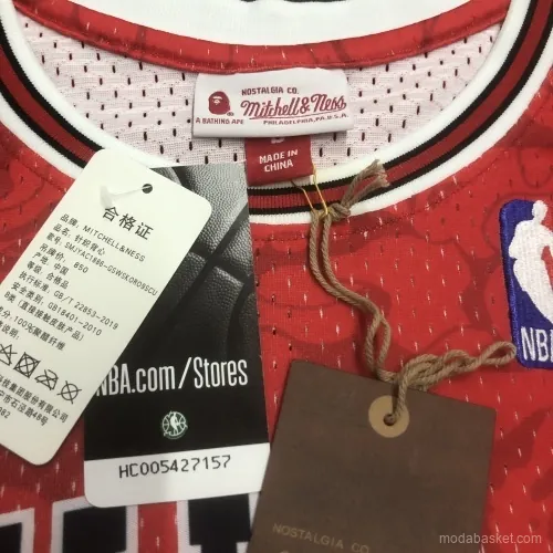 CHICAGO BULLS X BAPE - Imagen 8