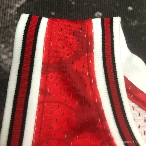 CHICAGO BULLS X BAPE - Imagen 7